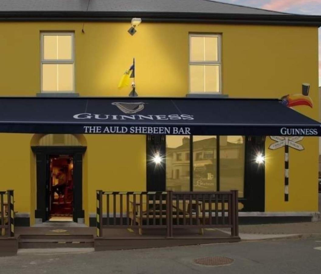 The Canalside B&B At The Auld Shebeen Bar Athy Dış mekan fotoğraf